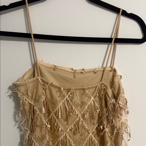 Streetwear Society Sequin Fringe Dress in Gold and Cream - Picture 4 of 6